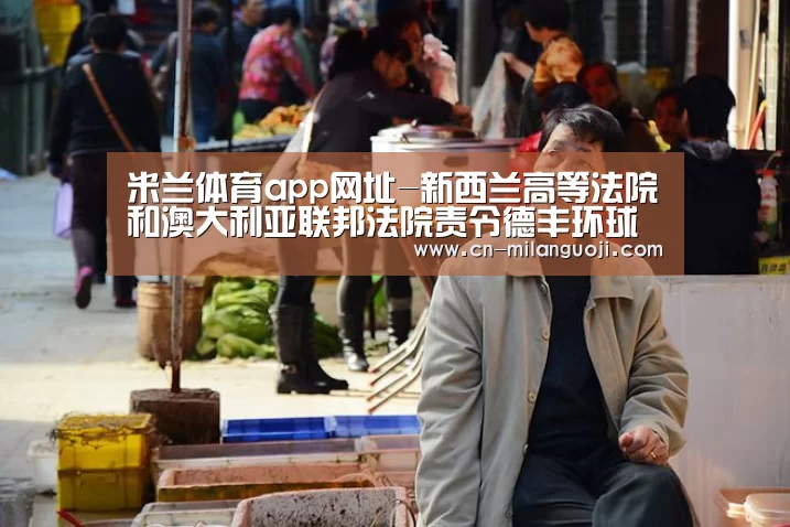 米兰体育app网址-新西兰高等法院和澳大利亚联邦法院责令德丰环球支付判决债务(图3) 米兰体育app下载安装