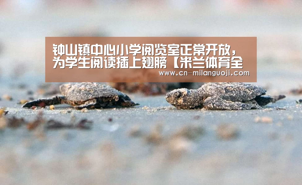 钟山镇中心小学阅览室正常开放,为学生阅读插上翅膀【米兰体育全站app】(图3) 米兰体育app网址